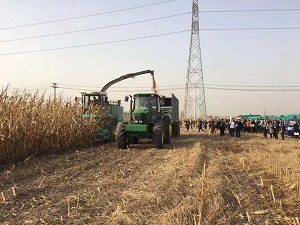 微信图片_2019103018071217.jpg