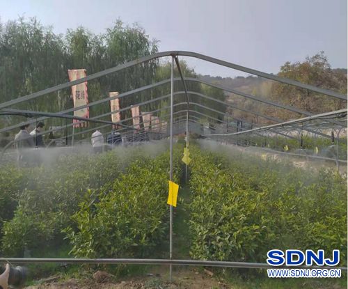 济南市农机推广站举办全市农机化新技术培训班
