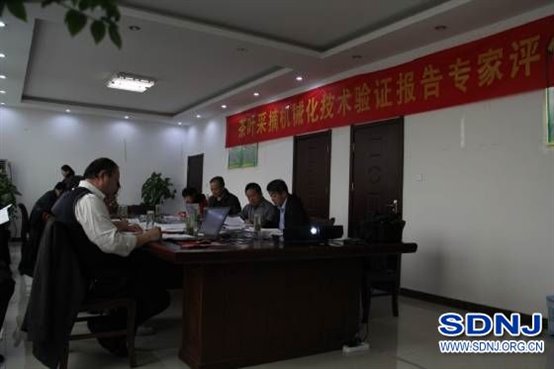 日照市组织召开茶叶采摘机械化技术验证报告专家评价会议
