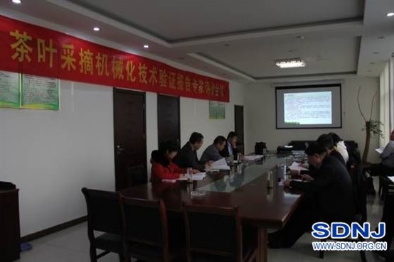 日照市组织召开茶叶采摘机械化技术验证报告专家评价会议