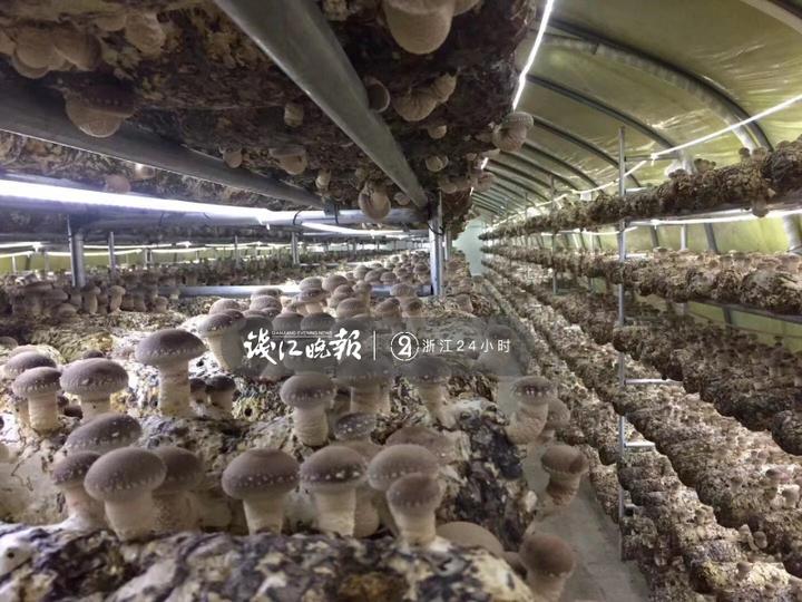 微信图片_20190319190225.jpg