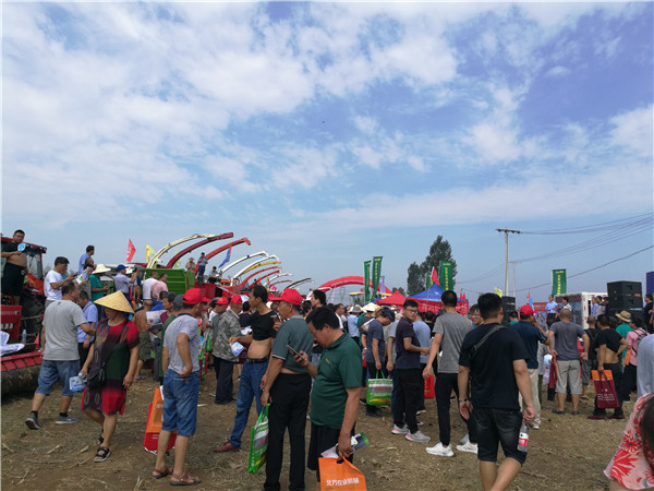 IMG_20190725_091506.jpg