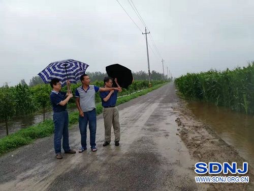 淄博市：农机农艺融合新技术台风中凸显优势（图）