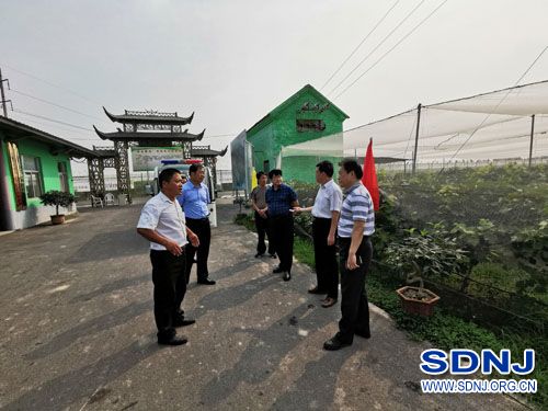 省市农机专家、领导到桓台调研林果业机械化（图）