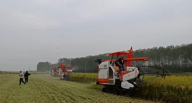 QQ图片202009291732351.jpg