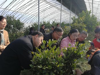 http://nync.shandong.gov.cn/xwzx/dfdt/202012/W020201209559104578725.jpeg