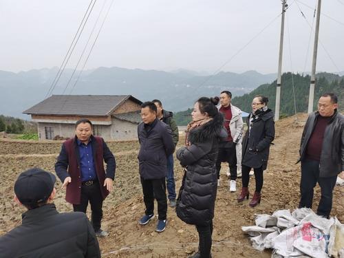 调研组与业主交流