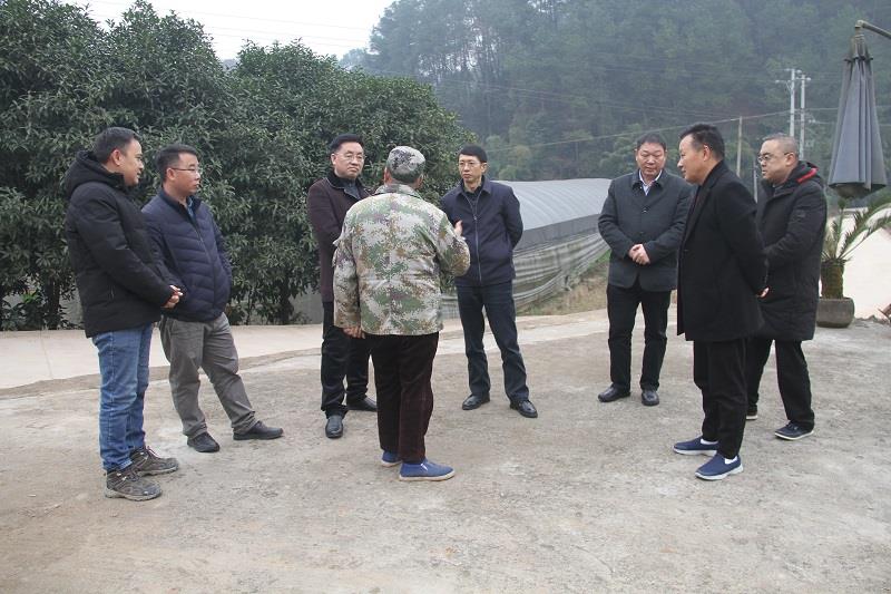 1专家组调研农机服务组织 