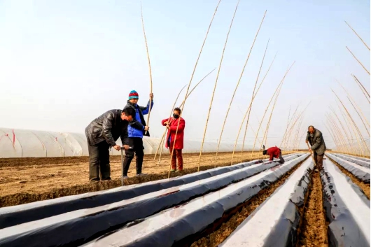 http://nync.shandong.gov.cn/snzx/dfdt/202002/W020200206526674855078.jpg