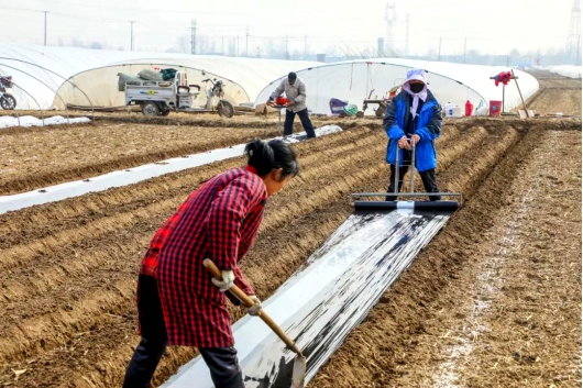 http://nync.shandong.gov.cn/snzx/dfdt/202002/W020200206526674944492.jpg