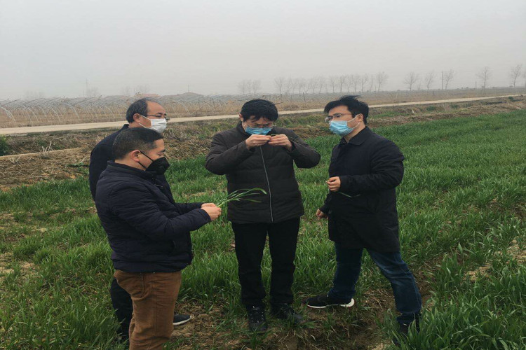 QQ图片20200217163941_副本.jpg
