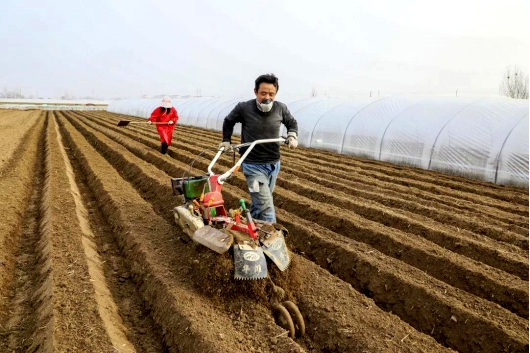 http://nync.shandong.gov.cn/snzx/dfdt/202002/W020200206526674727360.jpg
