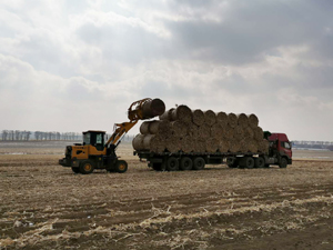 p3.jpg