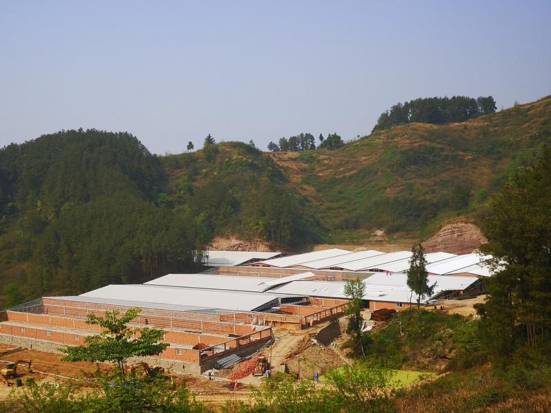 绿元宝农业开发有限公司养殖场全貌