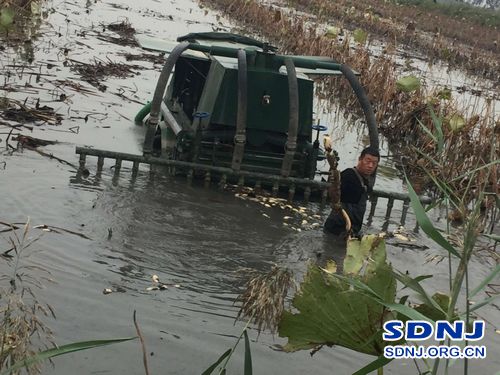 东营：水力机械采藕，服务湖北、安徽、广西、江苏、山东抗疫