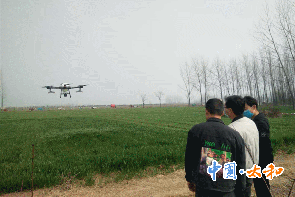 IMG_2645_副.gif