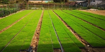 E:信息发布00301推装备转型升级，助农机春耕备耕生产微信图片_20200302085850.jpg