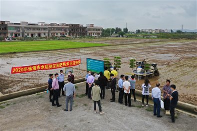 E:工作文档2020照片2020珠海侧深施肥现场3.2400326090845.jpg