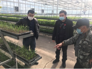 用机械替代人工，用科技保证产量358.jpg