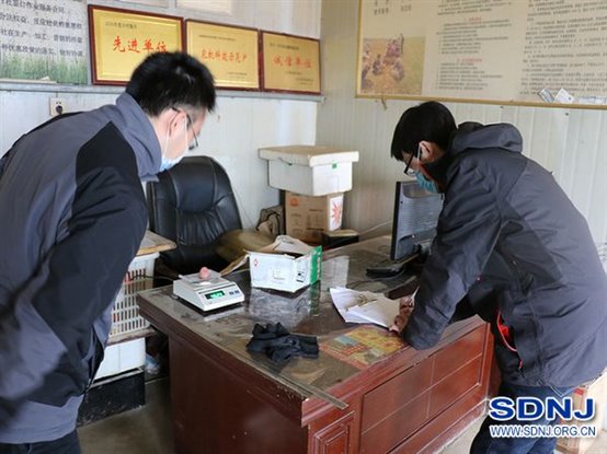 省农业机械技术推广站开展马铃薯机械化生产关键技术与装备试验验证活动（图）