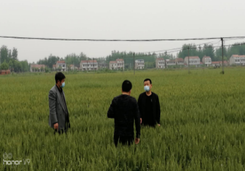 猎豹浏览器截图20200426173040.png
