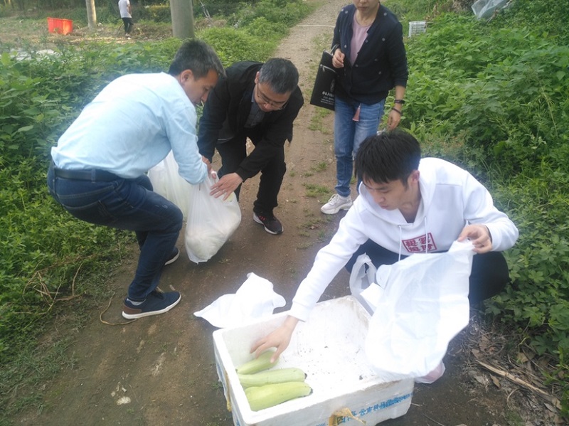 我市完成部级第二季度种植业质量安全例行监测抽检工作.jpg