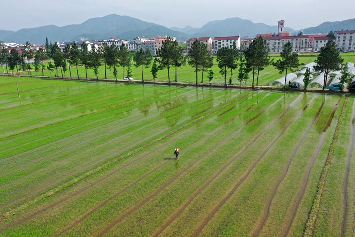 DJI_0294.jpg