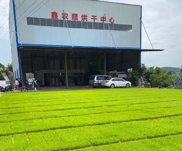 猎豹浏览器截图20200522162135.png