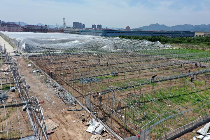 DJI_0425.jpg