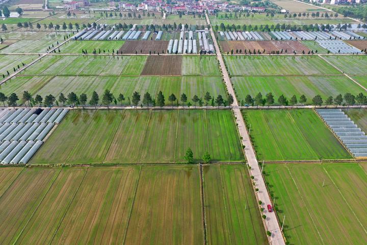DJI_0279.jpg