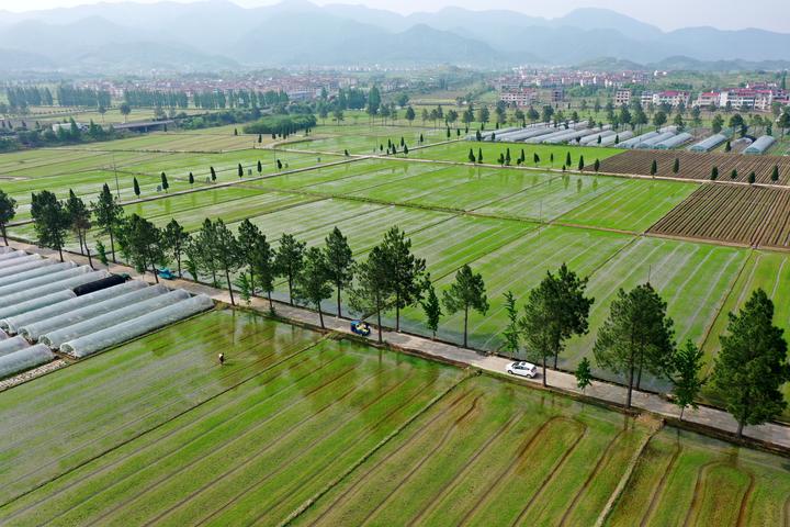 DJI_0256.jpg