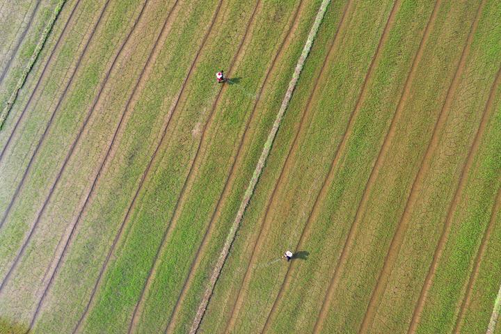 DJI_0292.jpg