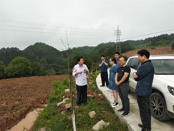1.了解宜机化项目整村推进情况