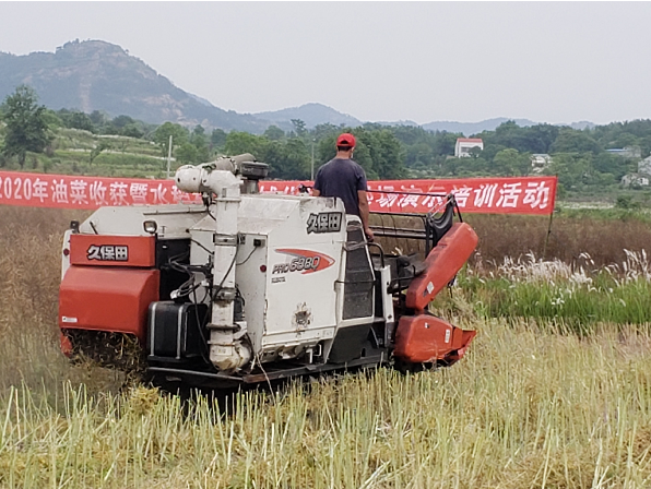 猎豹浏览器截图20200522162123.png