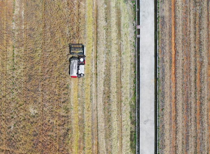 DJI_0291.JPG