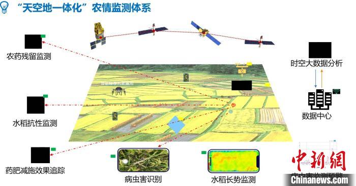 贵州岑巩杂交水稻迎来大数据“智慧管家”