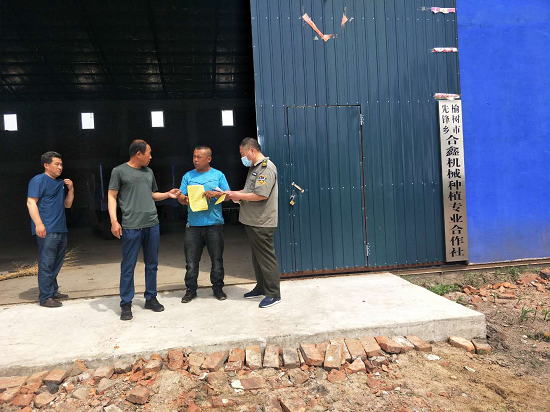 榆树图片4.1.png