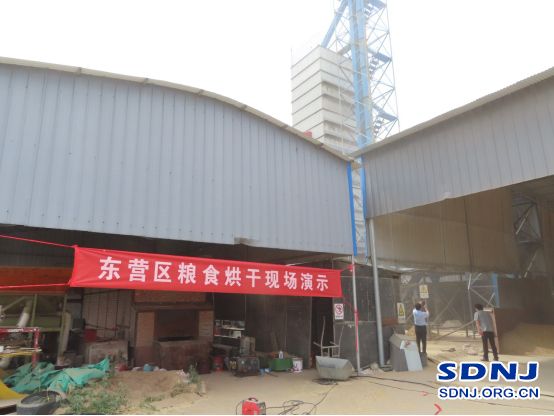 　　东营区举办粮食烘干现场演示观摩会(图)