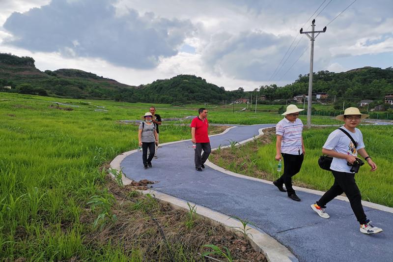 宜机化高粱基地指导农机工作