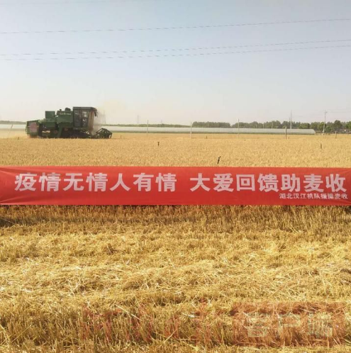 猎豹浏览器截图20200605170745.png