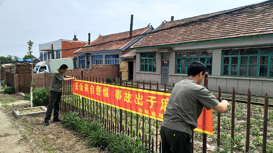 榆树图片2.1.png