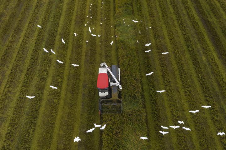 DJI_0822.jpg