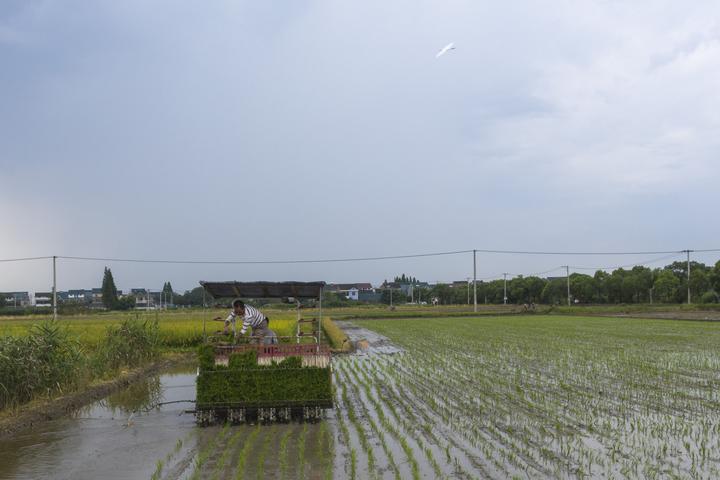 DJI_0766.jpg