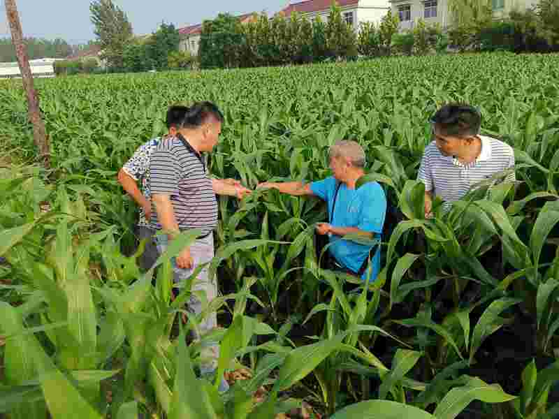 微信图片_20200729094739_副本.jpg