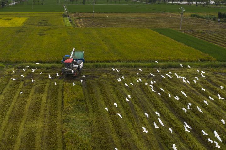 DJI_0838.jpg