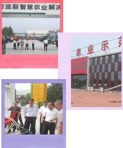 efd925bd8d314beebb25d73b520ce133.jpg