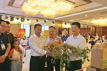 http://nync.shandong.gov.cn/snzx/dfdt/202009/W020200921580913229182.jpg