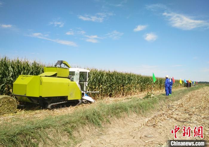 图为饲草收获装备在田间作业。(资料图)受访人供图