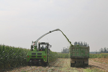 http://nync.shandong.gov.cn/zwgk/gzdt/202009/W020200914301842005391.jpg