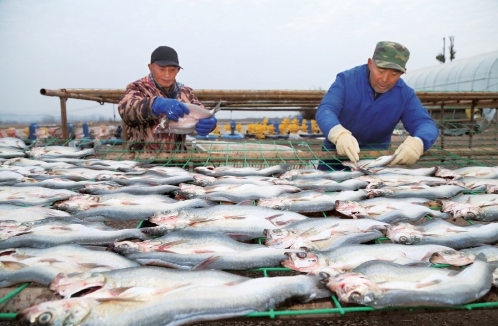 猎豹浏览器截图20210125154738.png